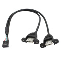 Ph2.0 Cable de cable de placa base Doble USB-A